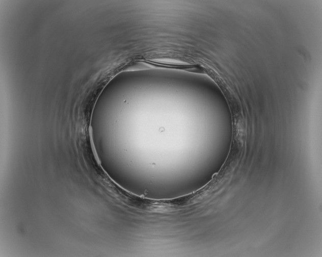 X0000113140617200909041210