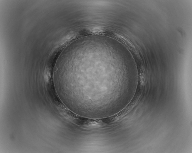 X0000113140618200909041210