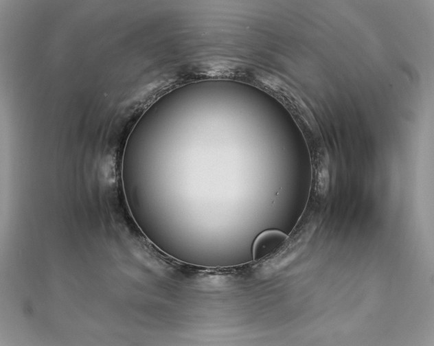 X0000113140620200909041210