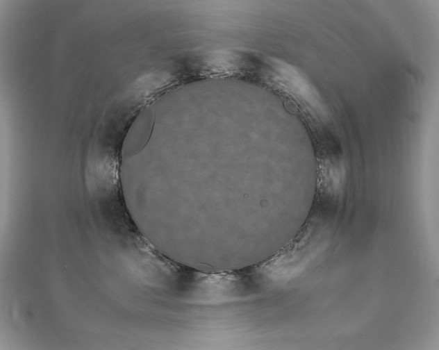 X0000113140621200909041210