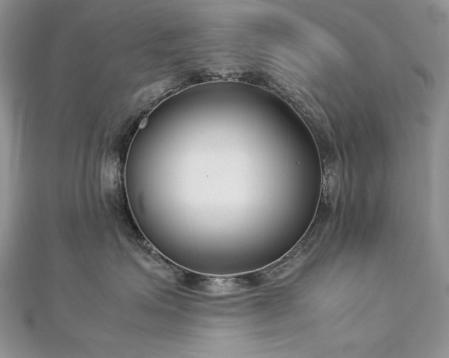 X0000113140623200909041210