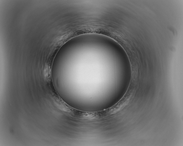 X0000113140624200909041210