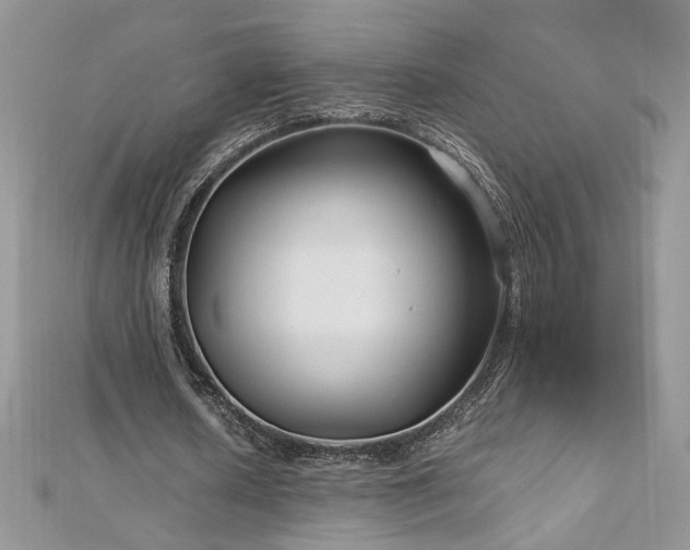 X0000113140626200909041209