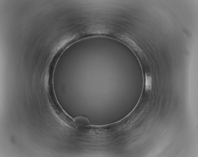 X0000113140627200909041209