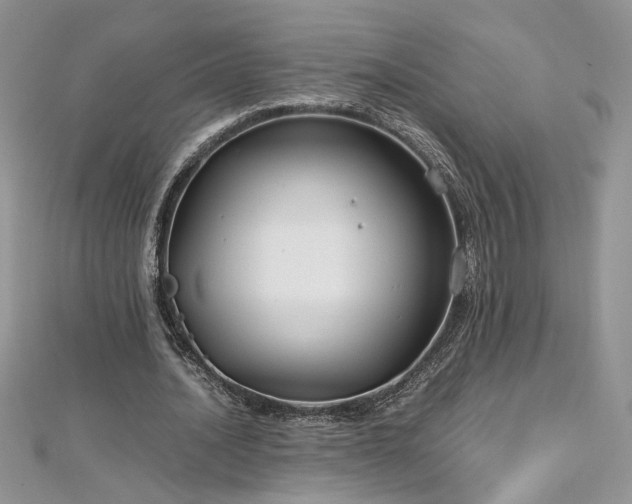 X0000113140628200909041209