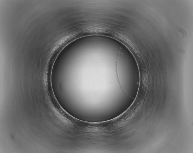 X0000113140629200909041209