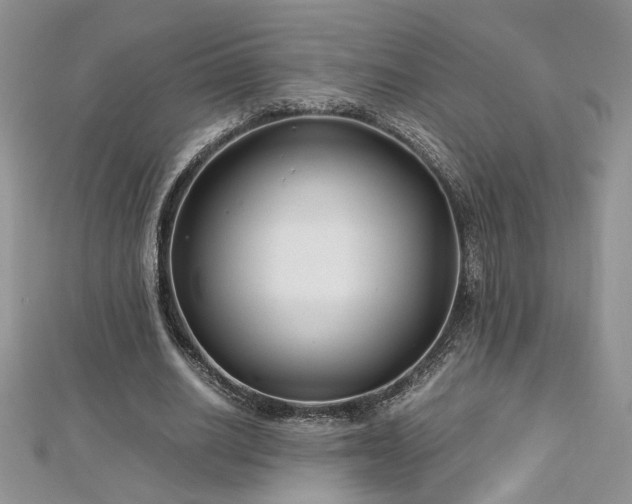 X0000113140630200909041209