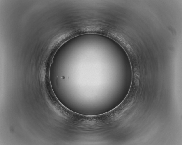 X0000113140631200909041209