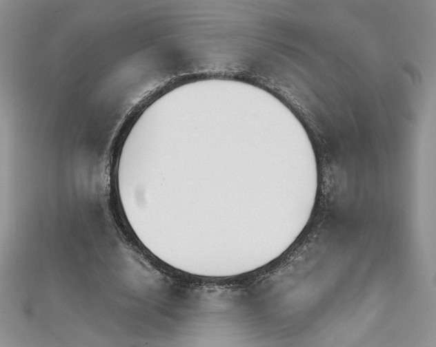 X0000113140632200909041209