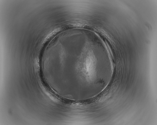 X0000113140634200909041209
