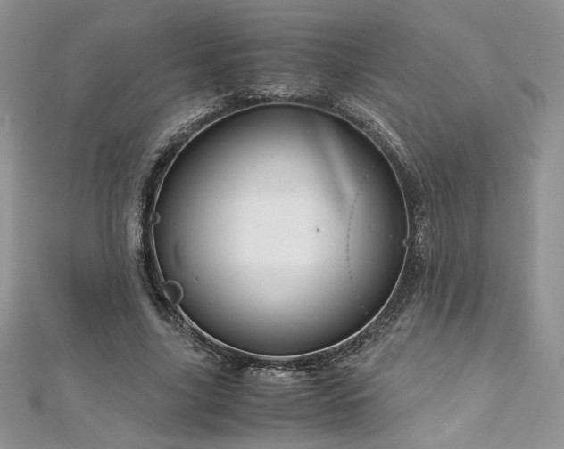 X0000113140635200909041209