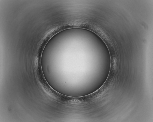 X0000113140636200909041209