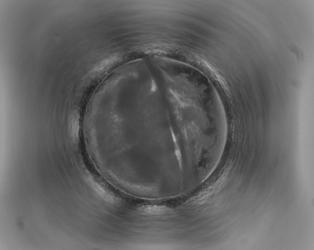 X0000113140637200909041209
