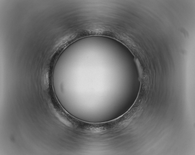 X0000113140638200909041209