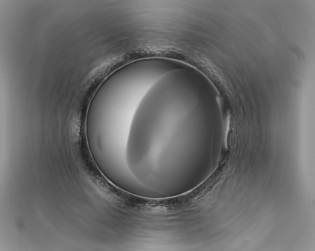 X0000113140640200909041209