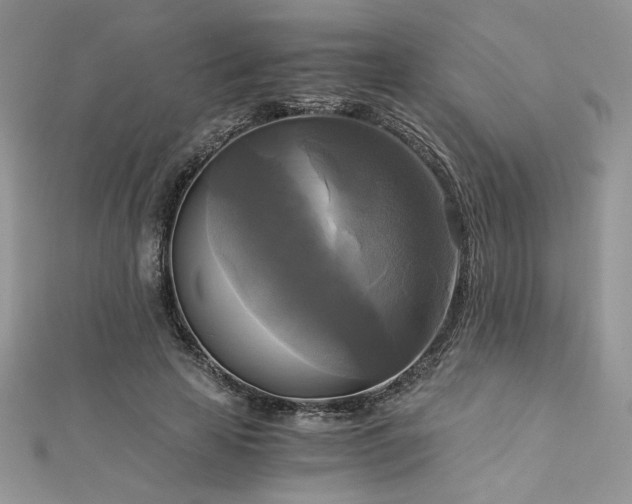 X0000113140641200909041209