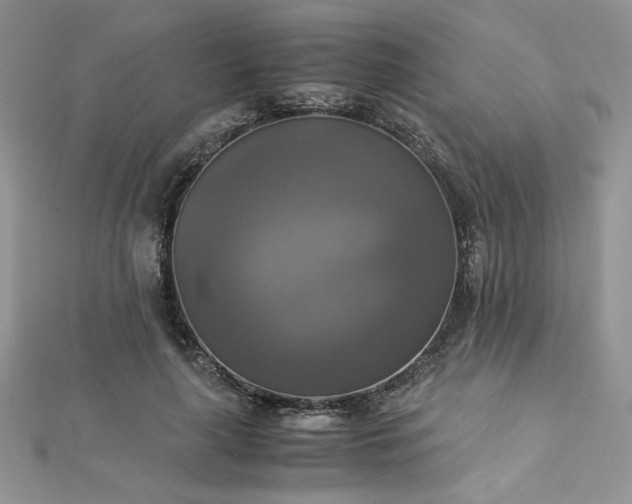X0000113140643200909041209