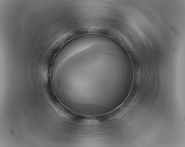 X0000113140644200909041209