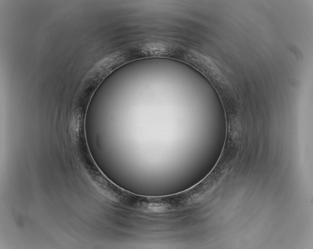 X0000113140645200909041209