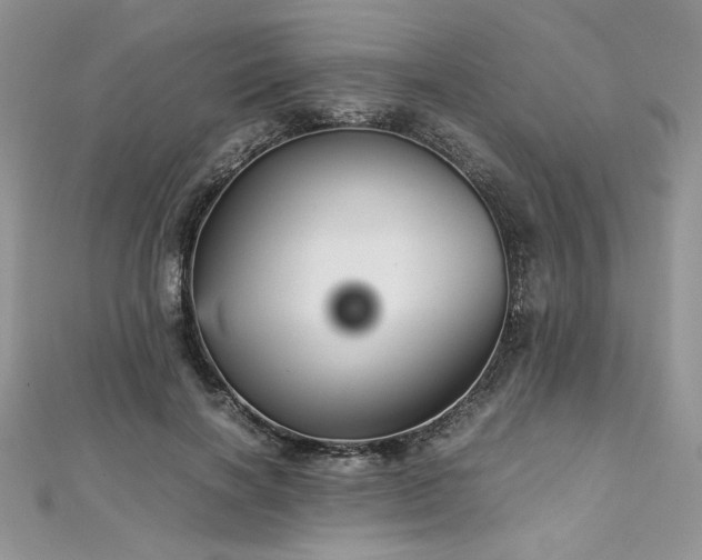 X0000113140646200909041209