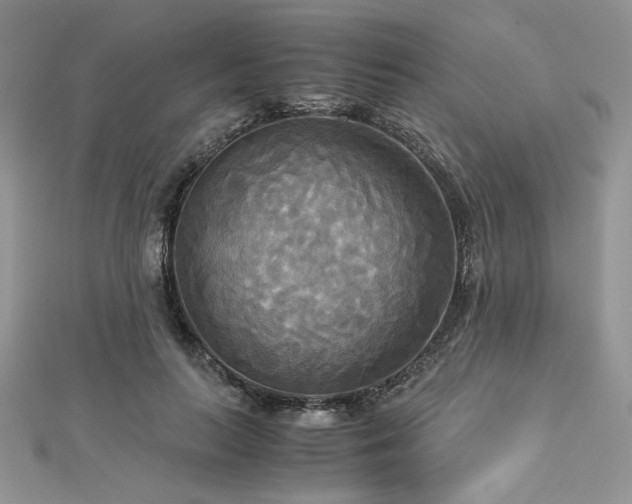 X0000113140647200909041209