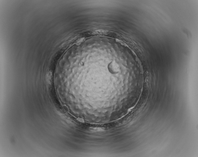 X0000113140649200909041209