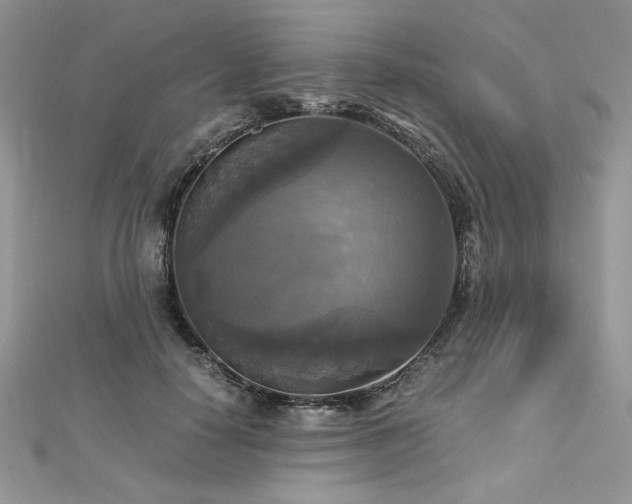 X0000113140650200909041209