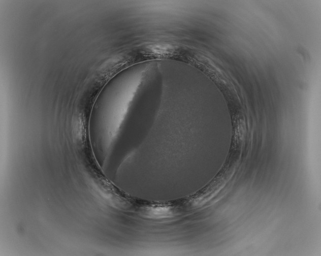 X0000113140651200909041209