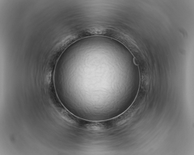 X0000113140652200909041209