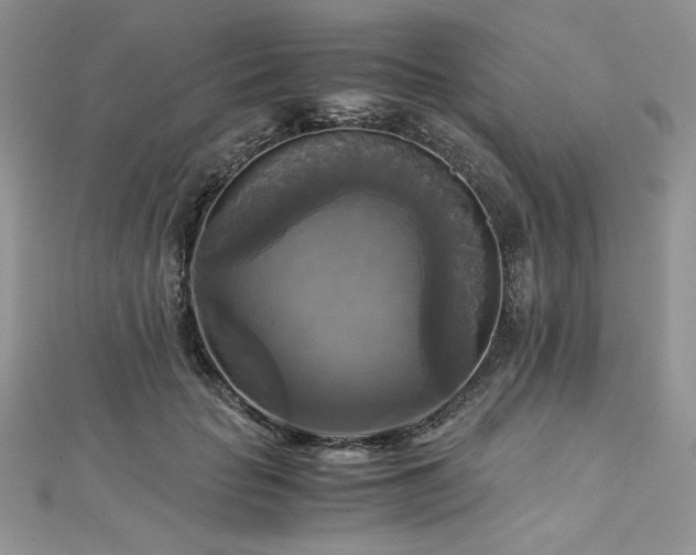 X0000113140653200909041209