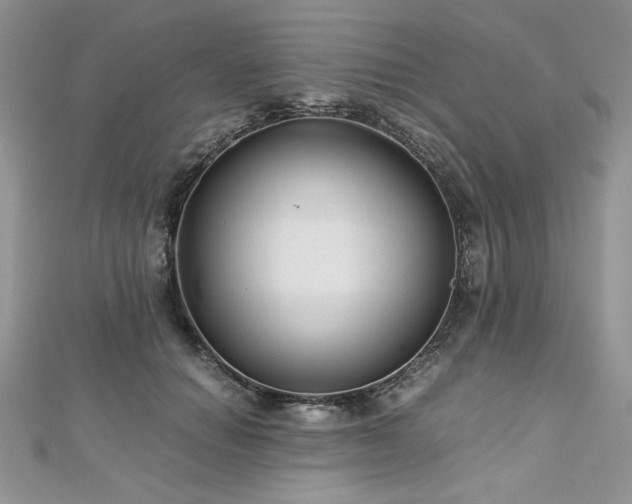 X0000113140654200909041209
