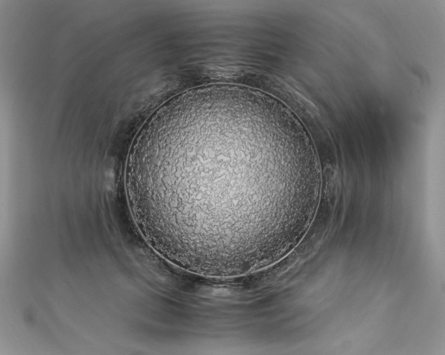 X0000113140655200909041209