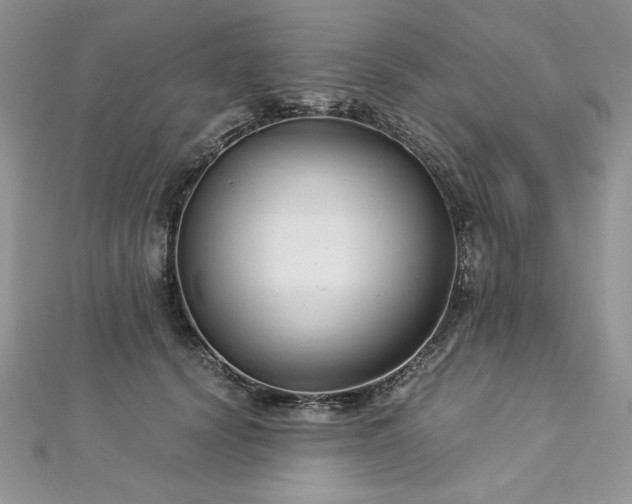 X0000113140656200909041209