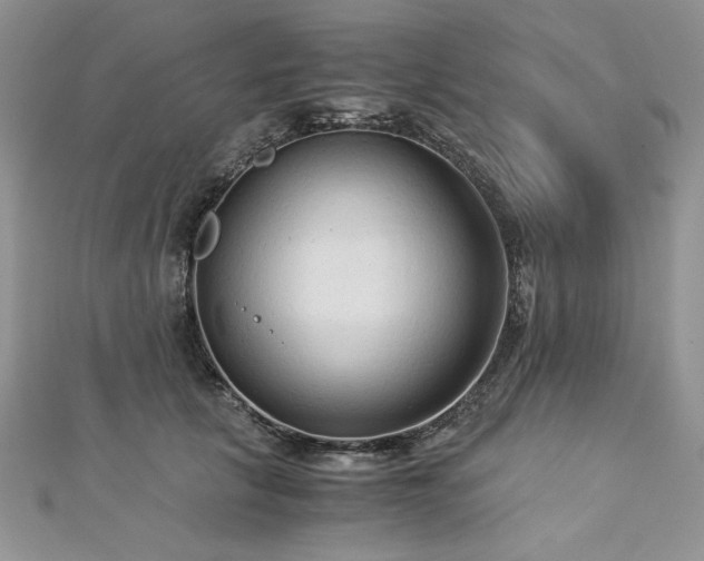 X0000113140657200909041209