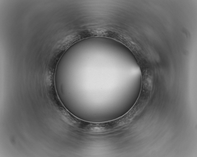 X0000113140658200909041209