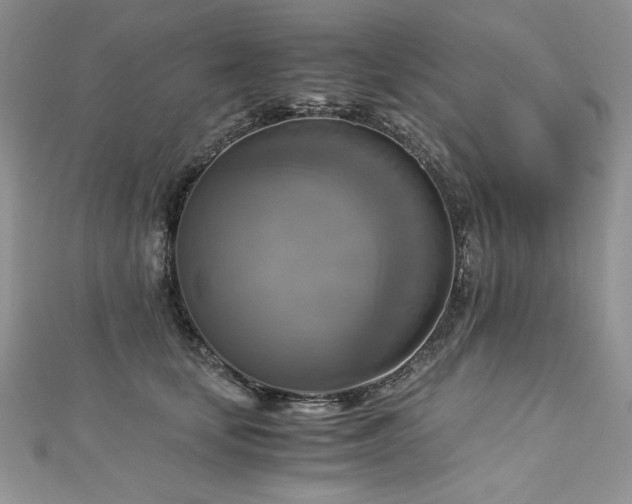 X0000113140659200909041210