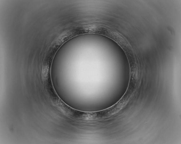 X0000113140660200909041210