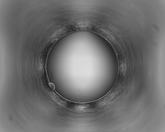 X0000113140662200909041210