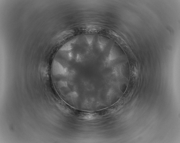 X0000113140663200909041210