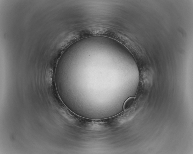 X0000113140664200909041210