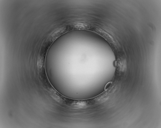X0000113140665200909041210