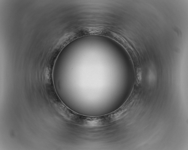 X0000113140667200909041210