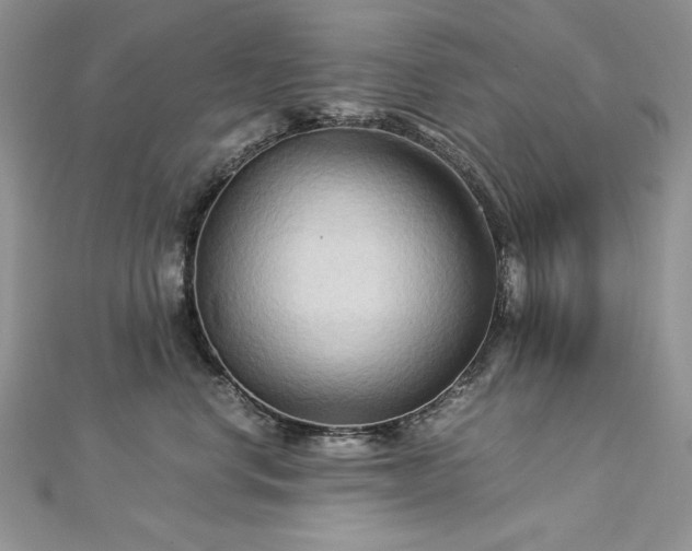 X0000113140668200909041210