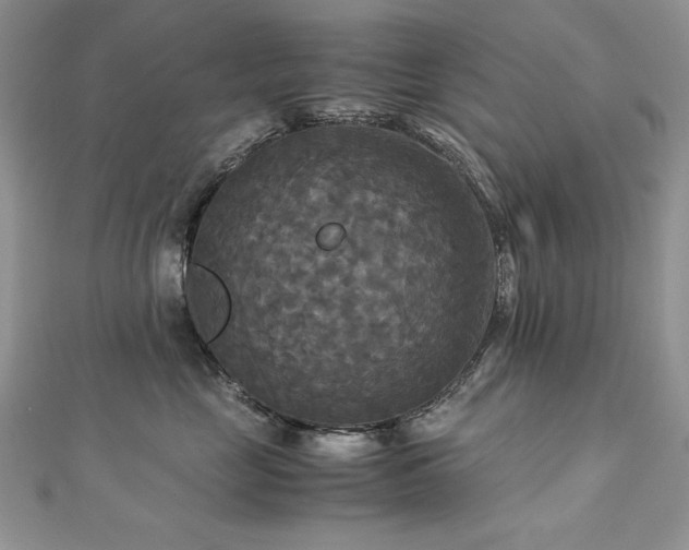 X0000113140669200909041210