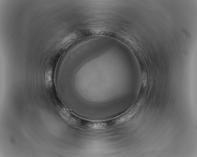 X0000113140670200909041210
