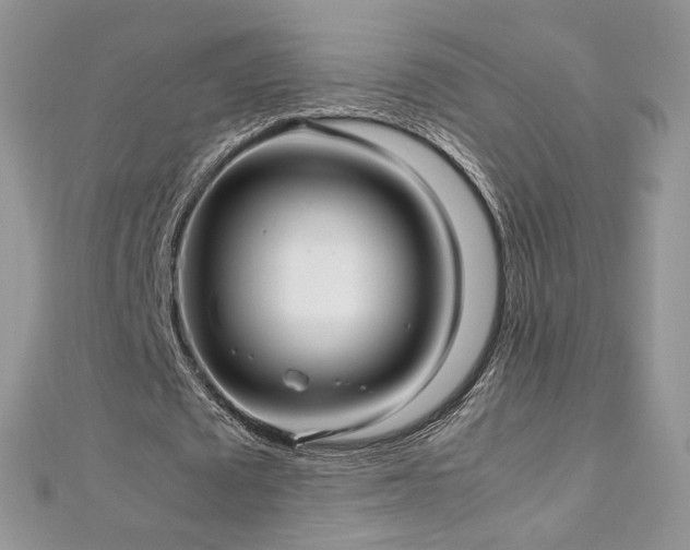 X0000113140673200909041209