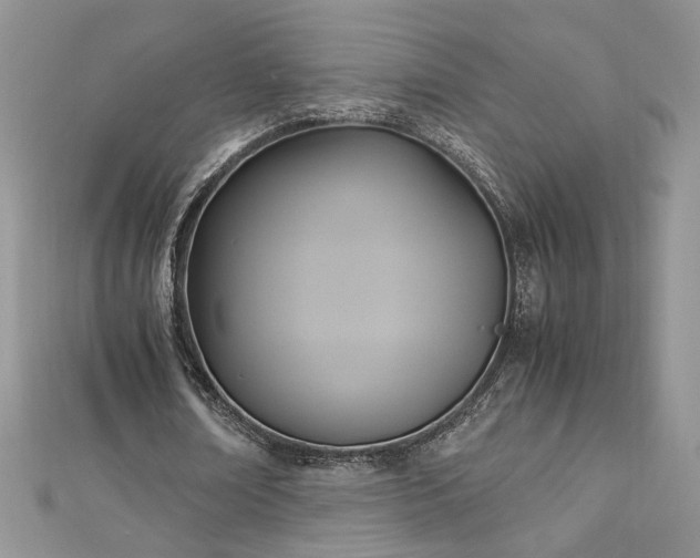 X0000113140674200909041209