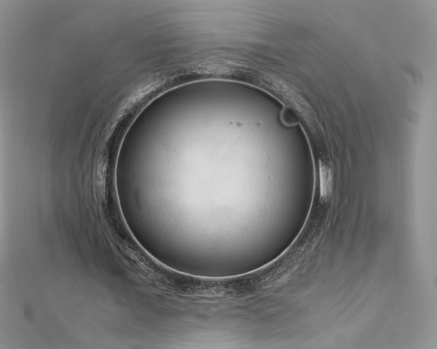 X0000113140675200909041209