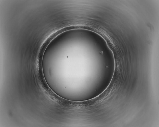 X0000113140676200909041209