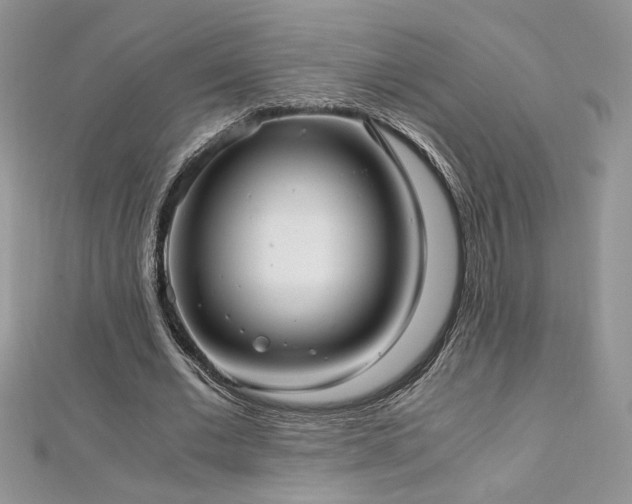 X0000113140677200909041209